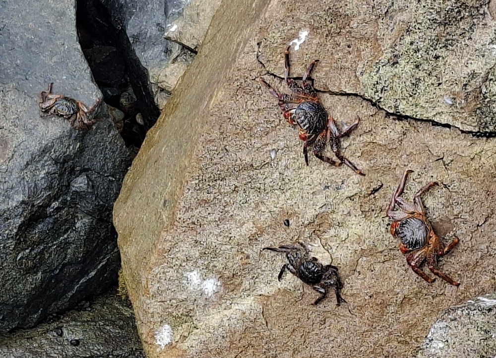 2026-03-24 Callao 20260324_135423_ji.jpg